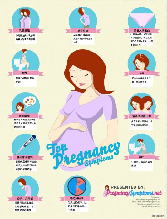 怀孕的各种表现