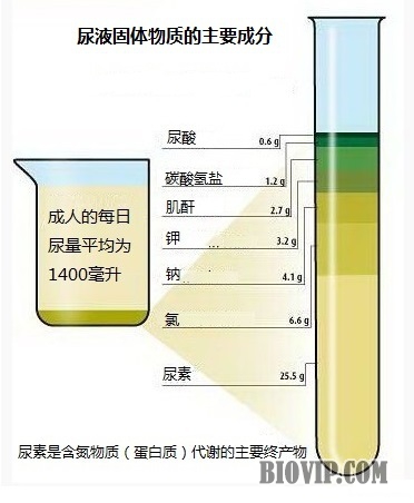 尿液固体物质的主要成分